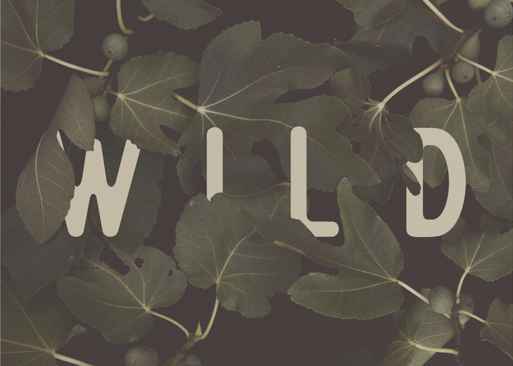 Wild Nº2 | Leinwand