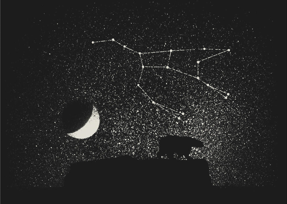 Ursa Major | Canvas