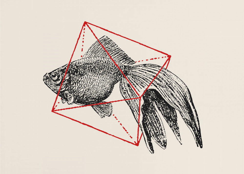 Fisch in Geometrie Nr. 3 | Leinwand