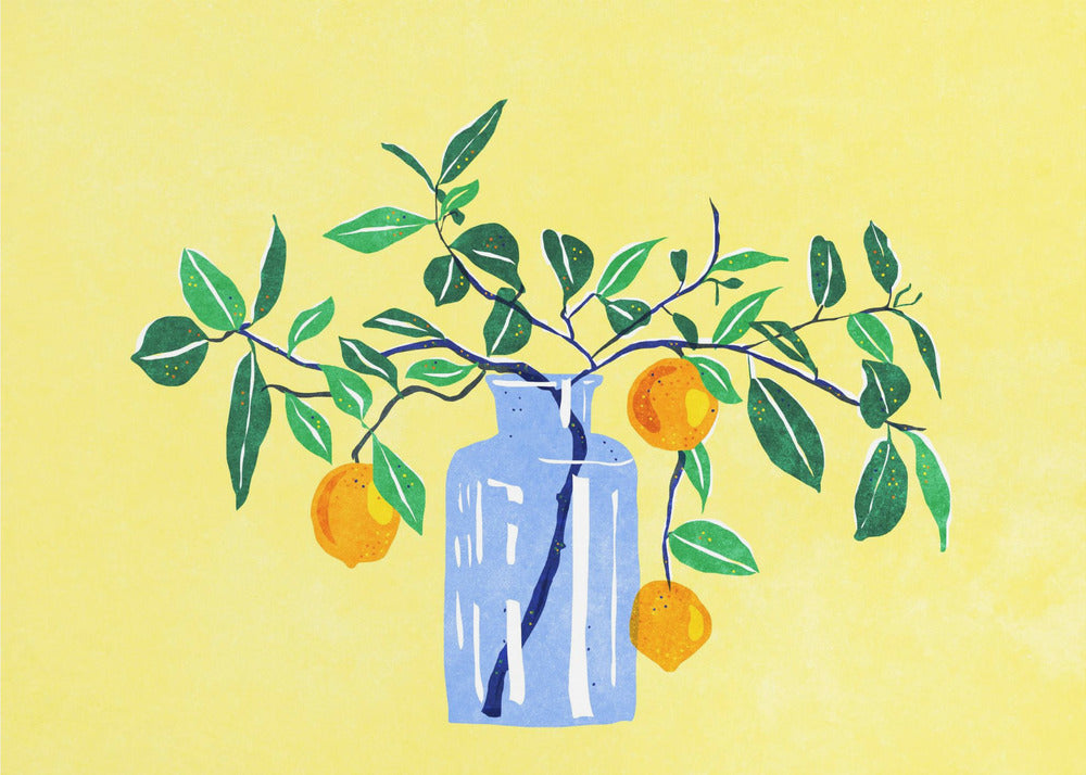 Orangetree | Canvas