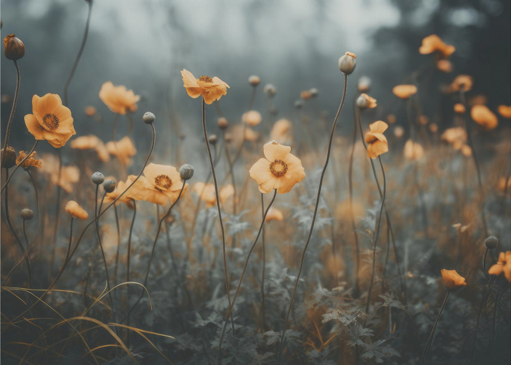 Goldener Mohntraum | Leinwand
