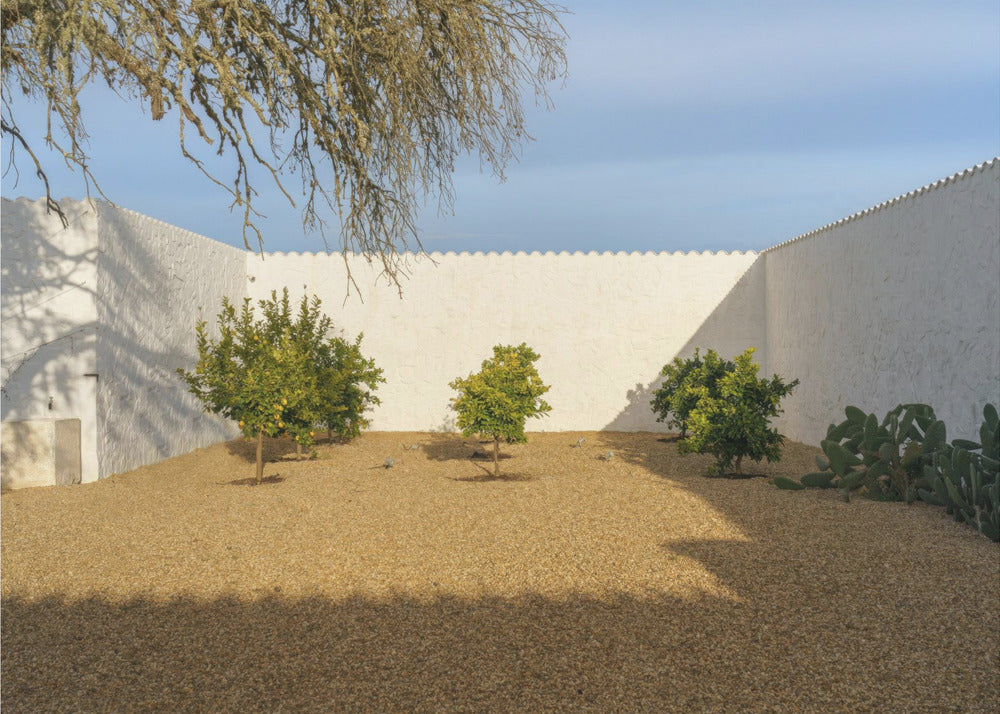 Casadavolta | Leinwand