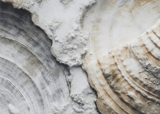 Textured Echoes | Poster