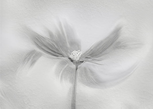 Tanzender Kosmos | Poster