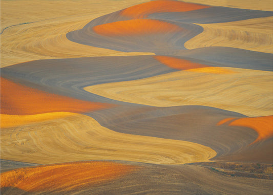 Gemaltes Land | Leinwand