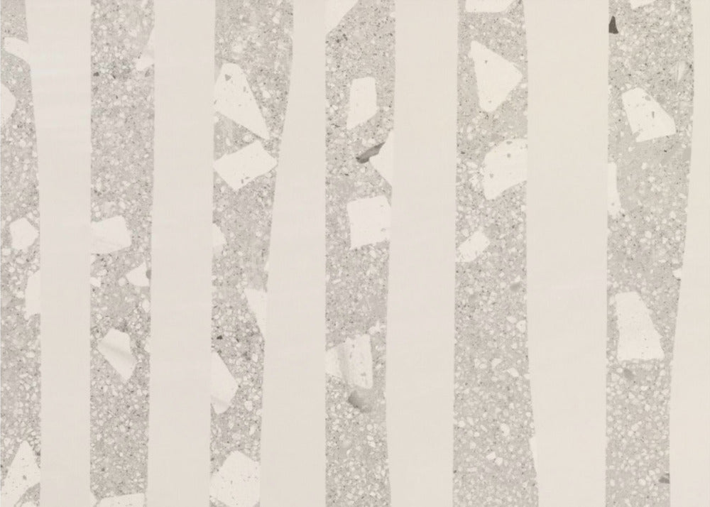 Birch Grove Shadows | Poster