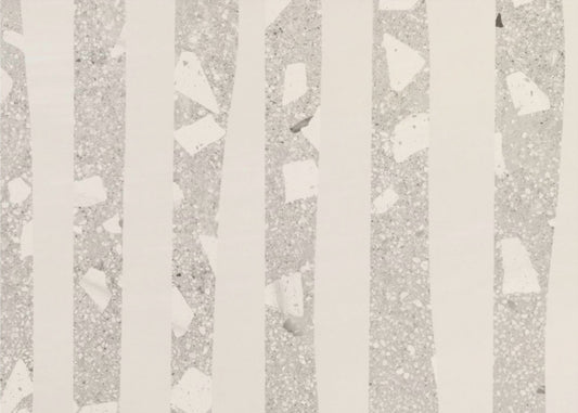 Birch Grove Shadows | Poster