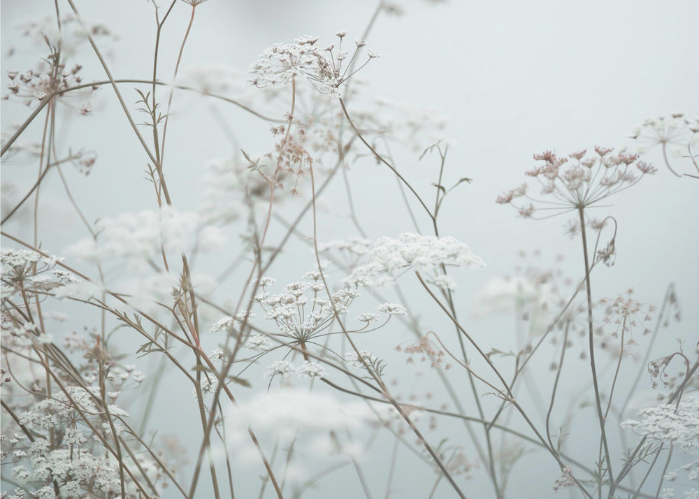 Sommermomente 12 | Leinwand