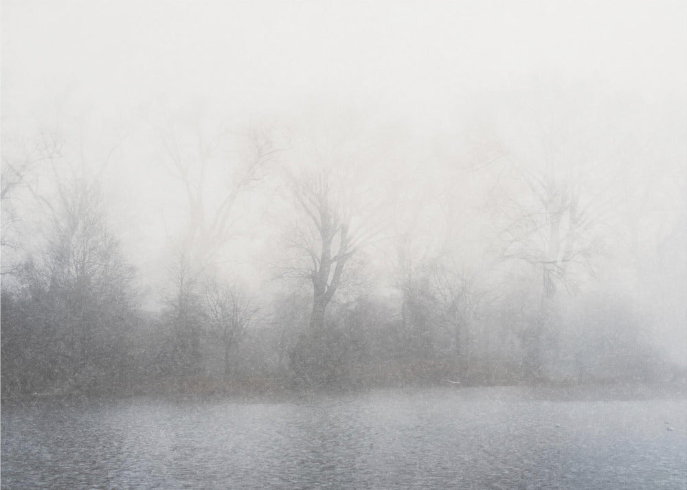Misty landscape | Poster