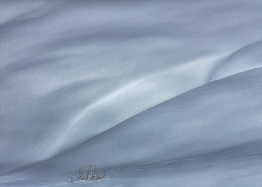slopes in winter | Canvas