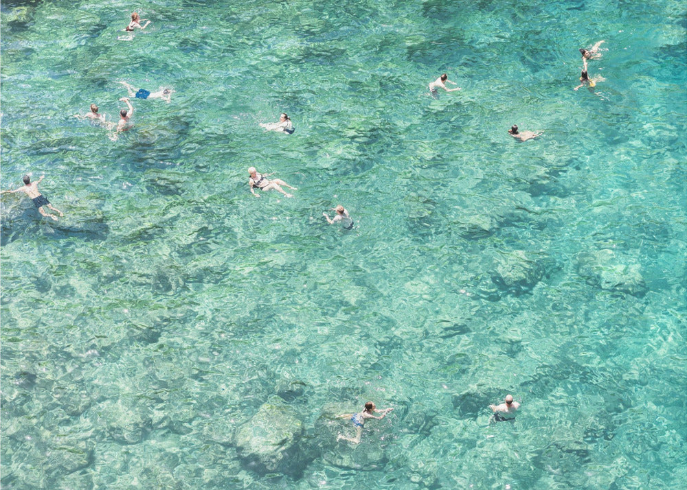 Schwimmen im Meer | Poster