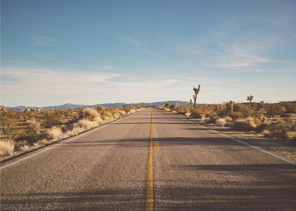 Joshua Tree Road | Poster