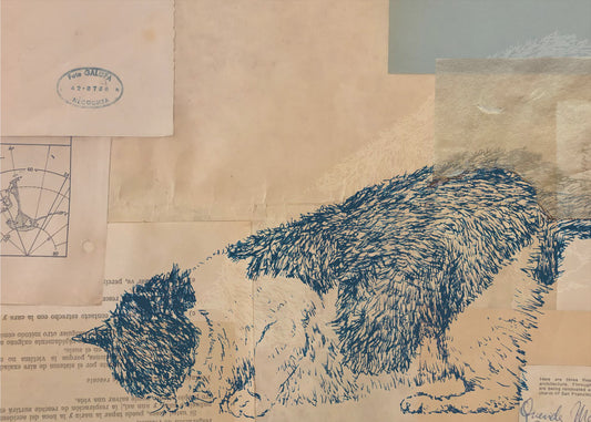 Neugierige Katzencollage | Leinwand