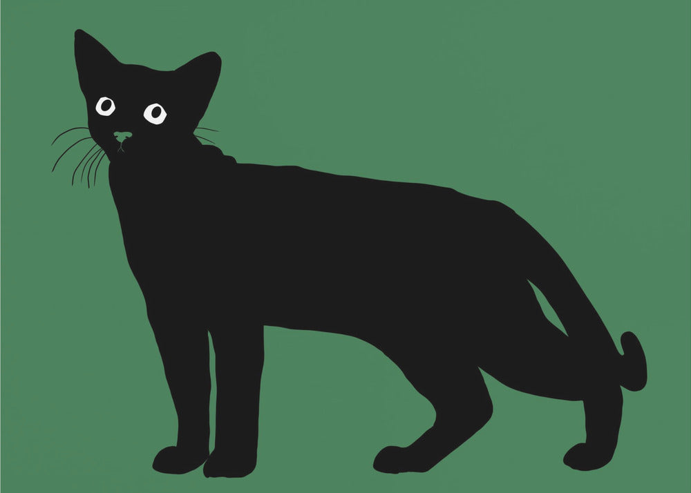 Black cat | Canvas
