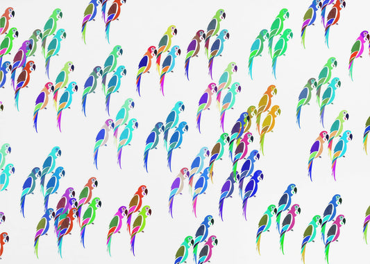 Sittich-Mix | Poster