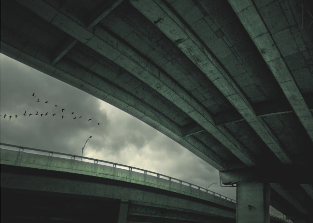 Letzter Flug | Poster