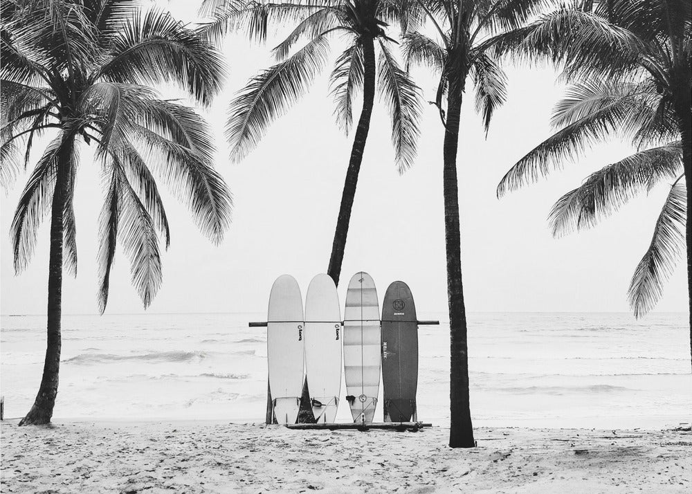 The Boards | Poster