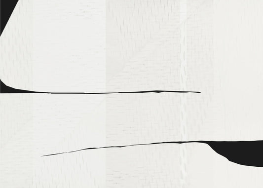 Schwarzer Strich und weiße Webkunst 3 | Poster