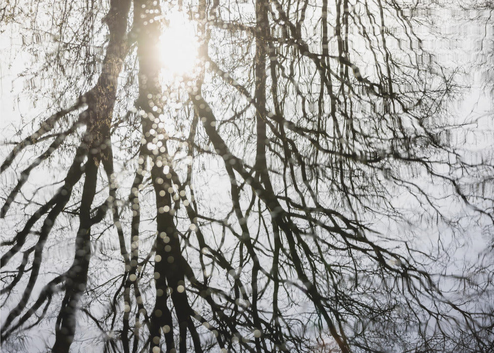 Winterreflexionen 3 | Leinwand