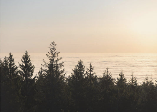 Goldene Stunde 2 | Leinwand