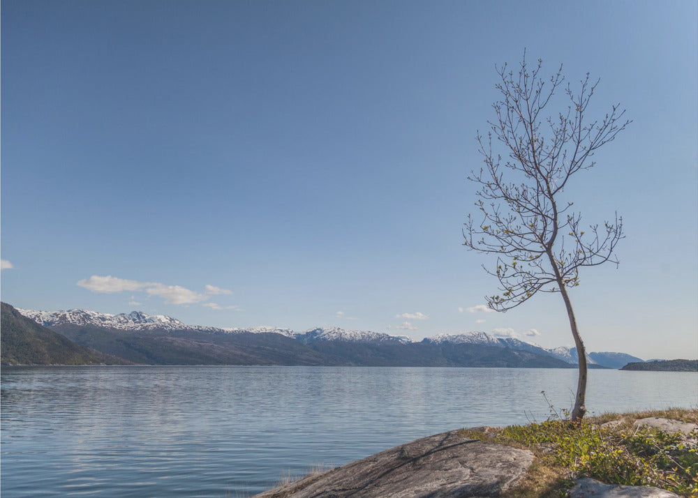 Irgendwo in Norwegen 3 | Leinwand