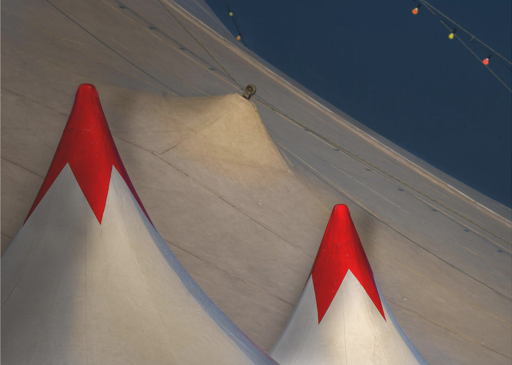 Circus roof | Canvas