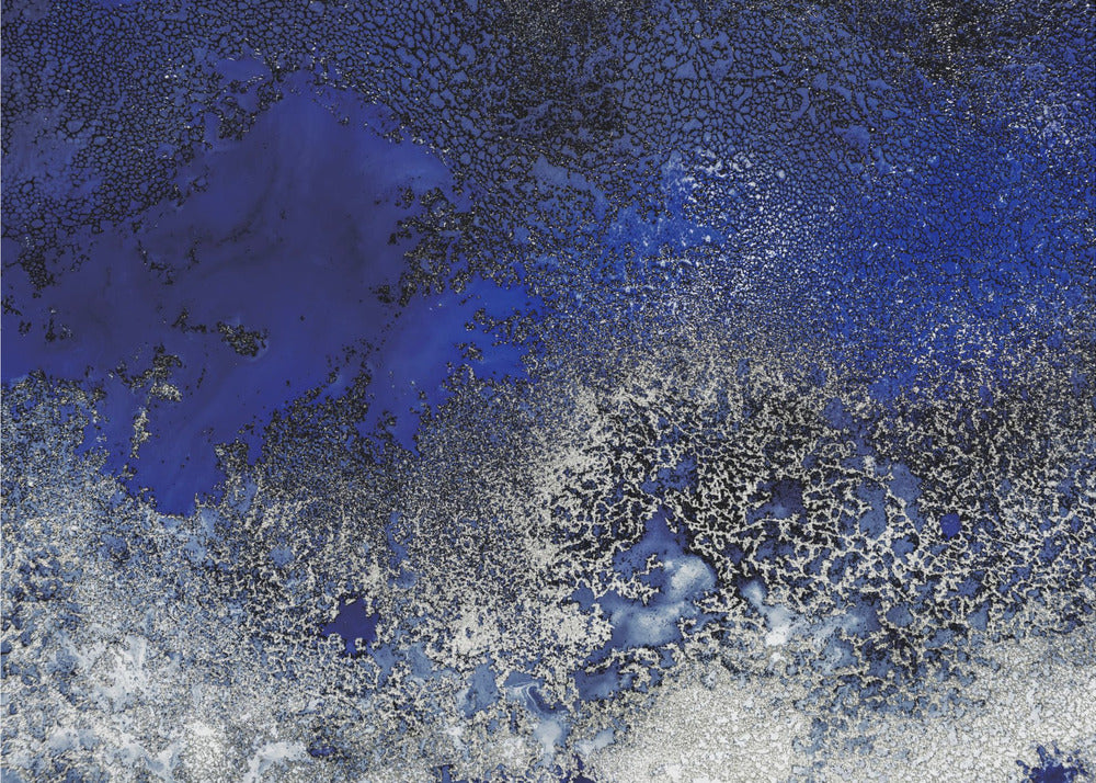 Sunlit Reef Upscaled Cgi 13287w Kopie | Poster