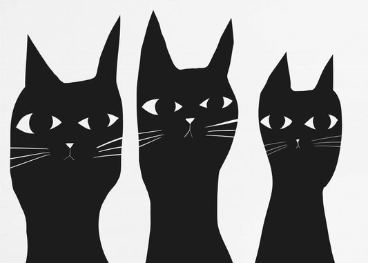 Drei schwarze Katzen spähen Katze | Poster