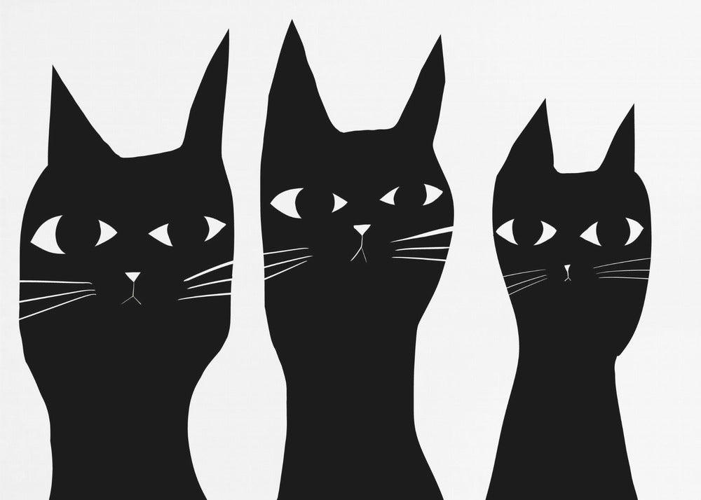 Drei schwarze Katzen spähen Katze | Leinwand