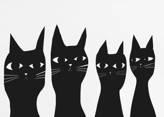 Vier schwarze Katzen | Poster