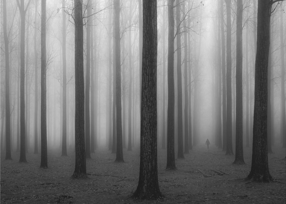 Im Nebel | Leinwand