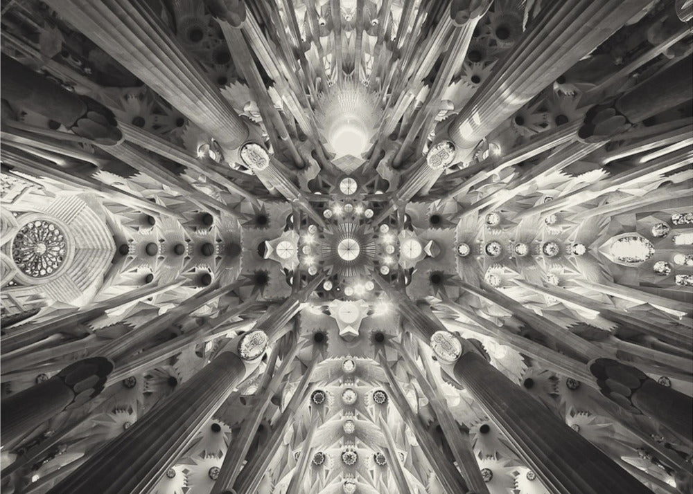 Künstlicher Wald - Sagrada Familia | Leinwand