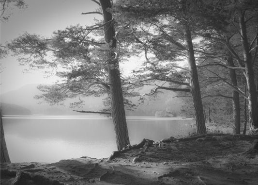 Loch an Eilein | Leinwand