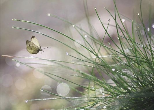 Bevorstehende Landung | Poster