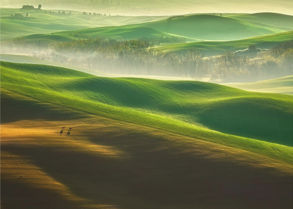 Freedom.... | Canvas