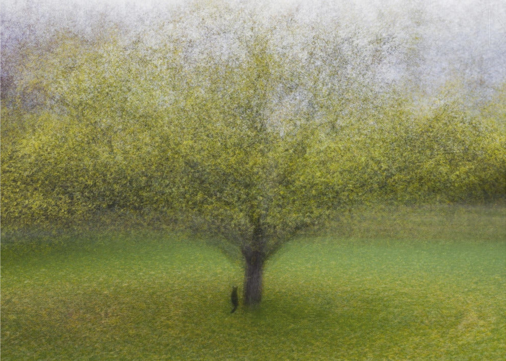 Die Katze am Baum | Poster