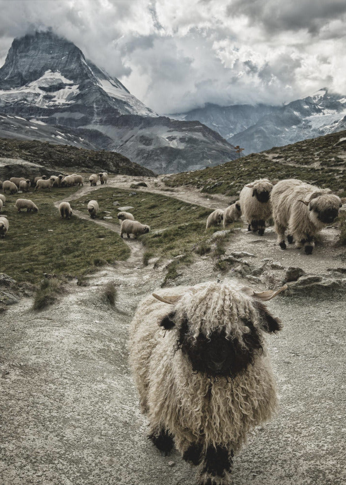 Aus dem Weg | Poster