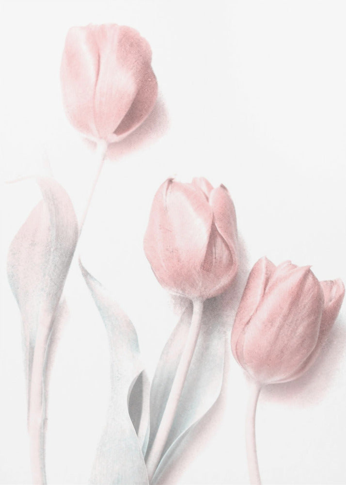 Süßes Rosa | Leinwand