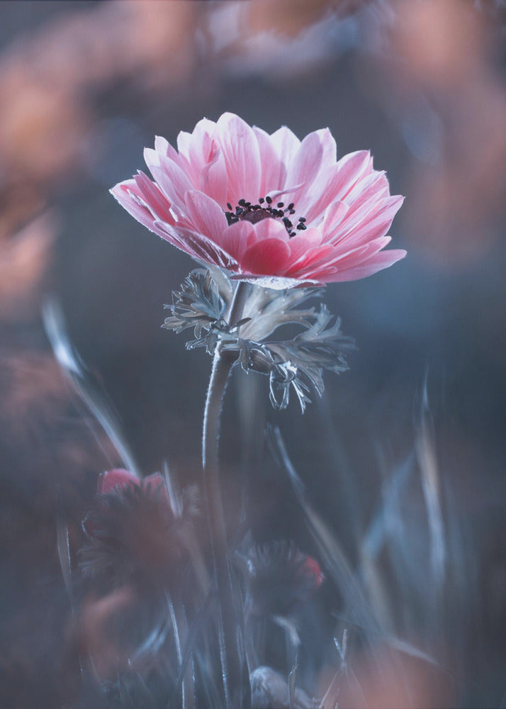 Standing in beauty | Canvas