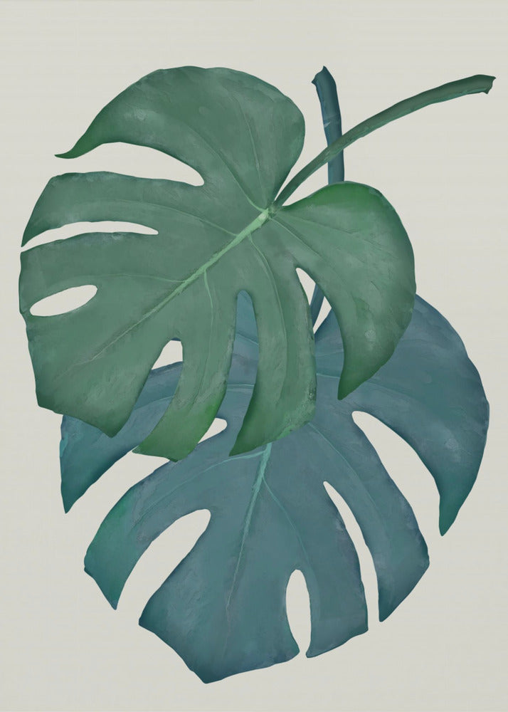Monstera Aqua 06 | Leinwand