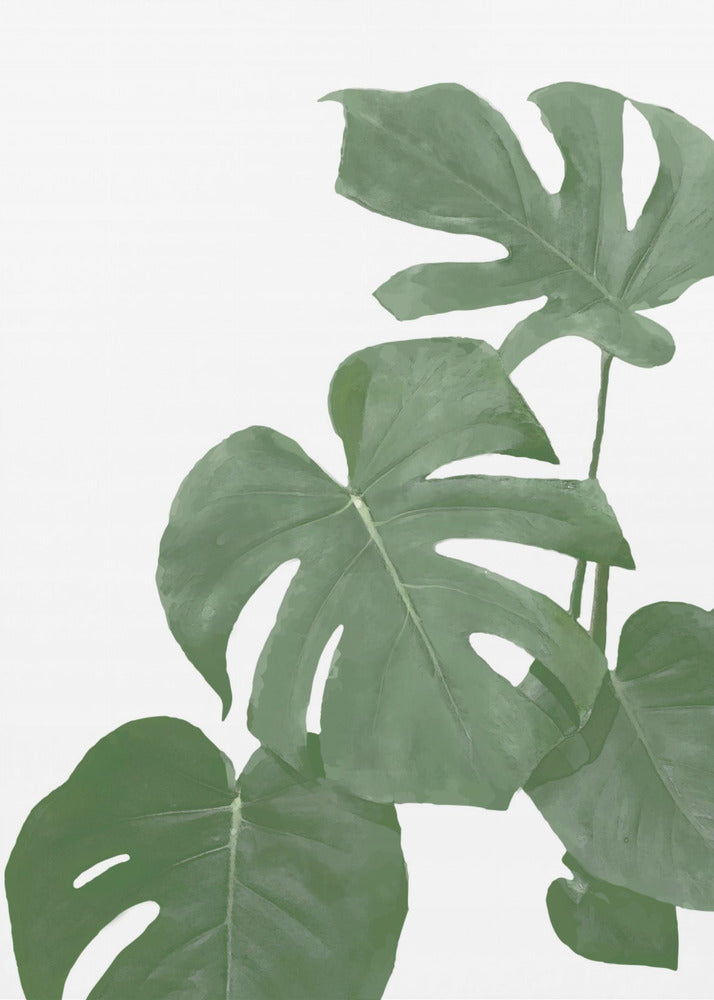 Monstera Aqua 03 | Leinwand