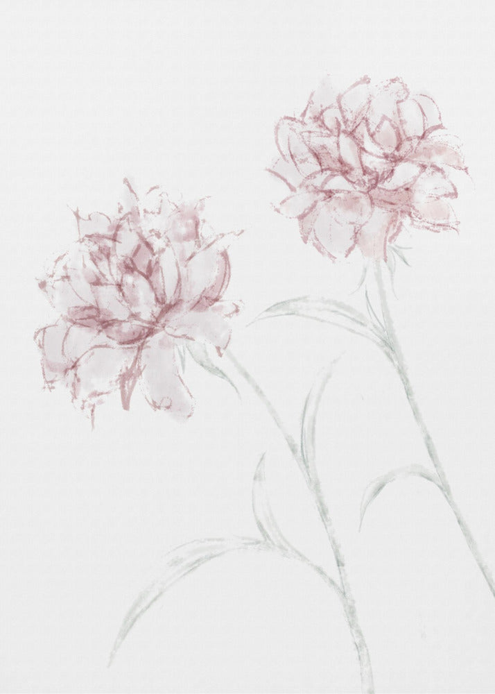 Peony 03 | Canvas