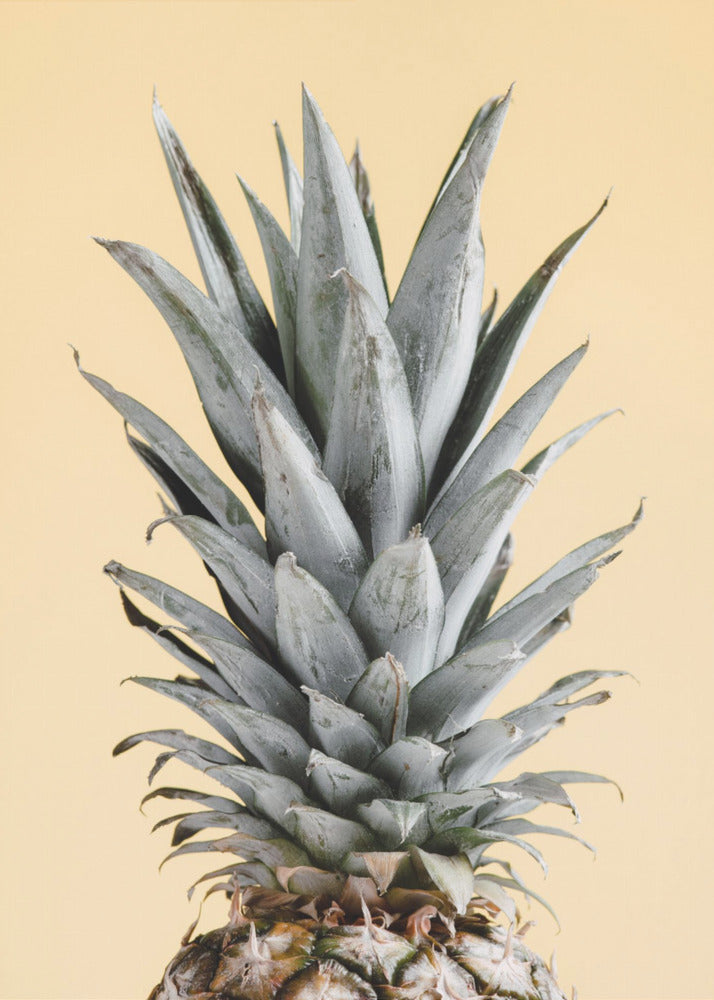 Pineapple Yellow 04 | Canvas
