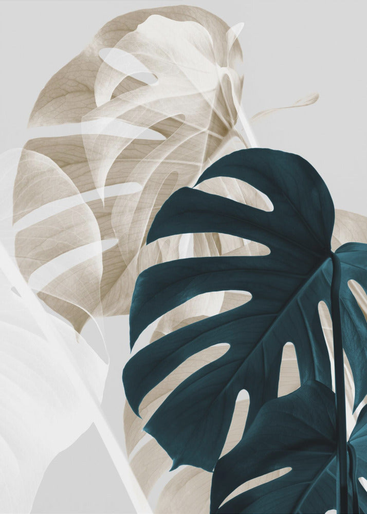Monstera Creative 05 | Leinwand