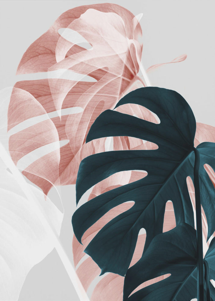 Monstera Creative 09 | Leinwand