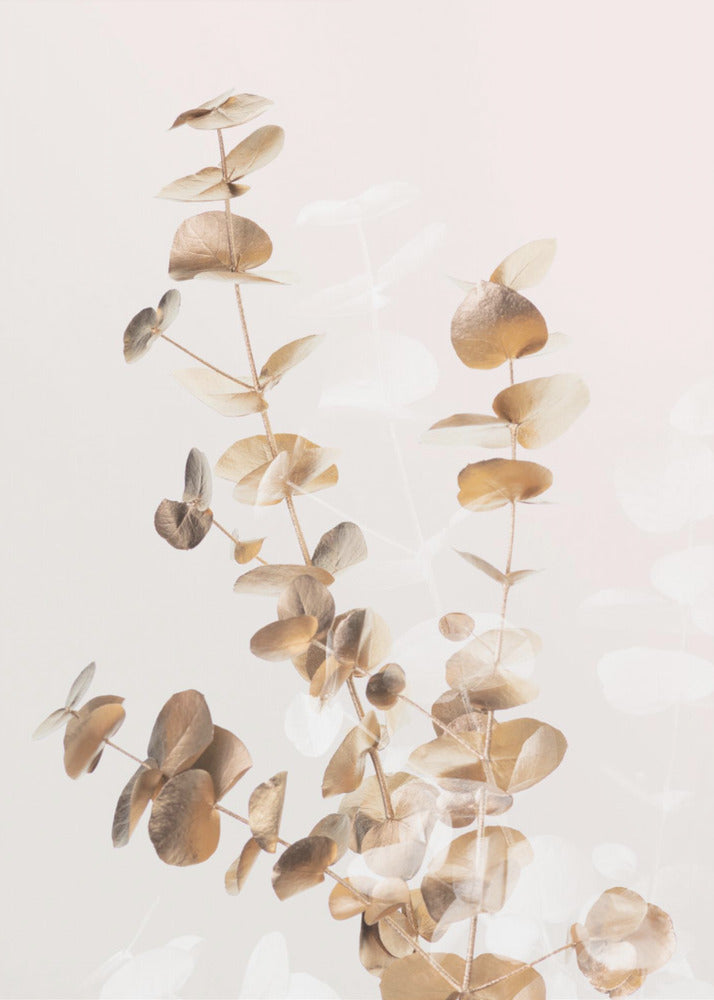 Eukalyptus Creative Gold 03 | Leinwand