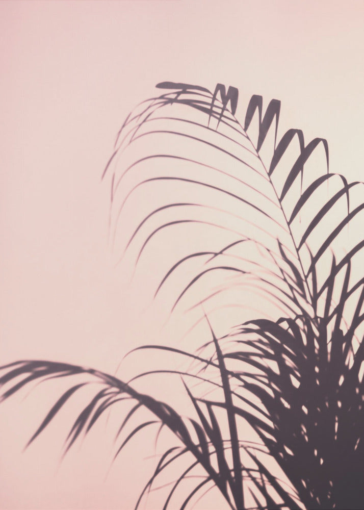 Palmblätter_1 | Poster