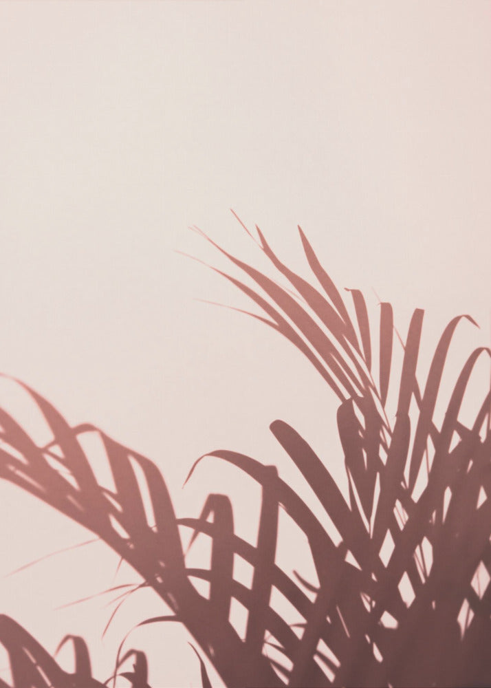 Palmblätter_2 | Poster