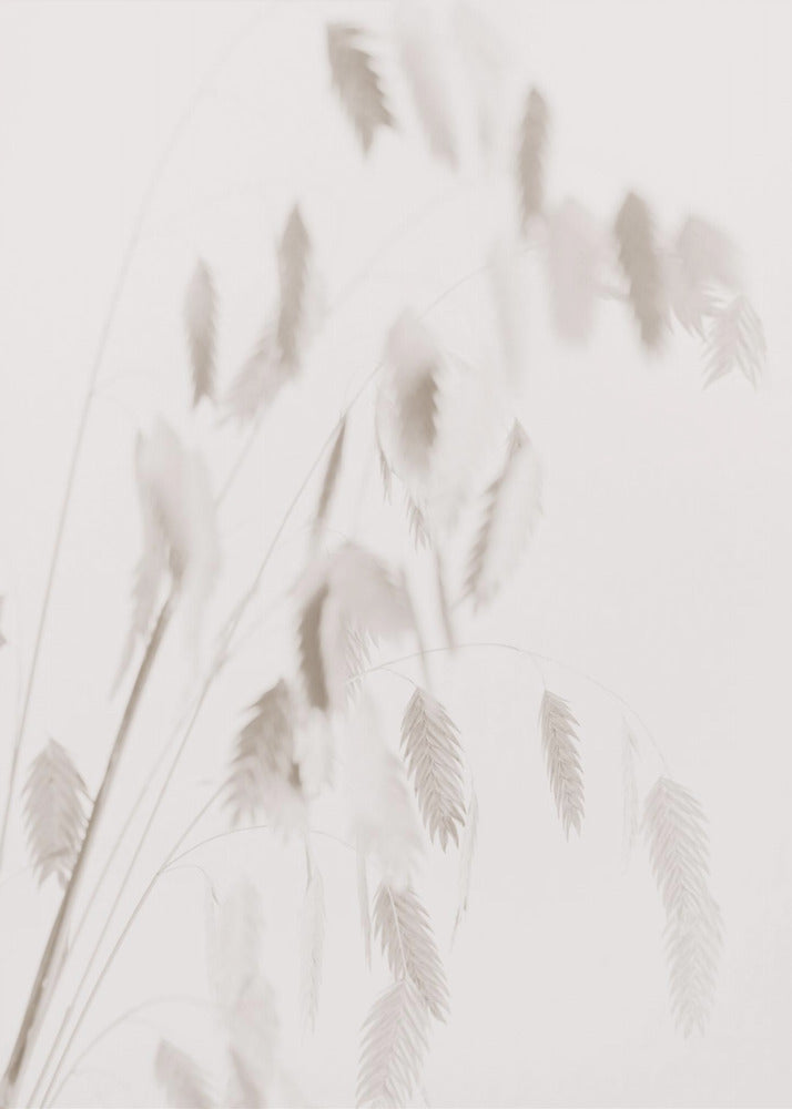 Getrocknetes Gras_rosa | Poster