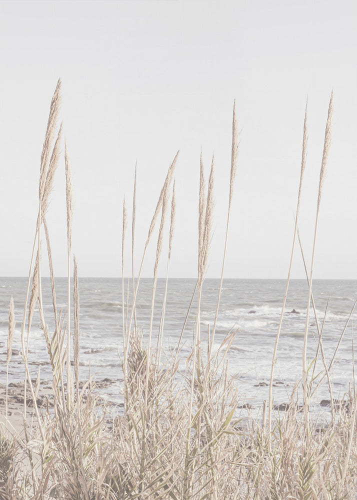 Beach_Vass_001 | Poster